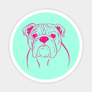 English Bulldog (Mint and Hot Pink) Magnet